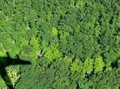 Tips Healthy Green Travel