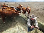 Farm Policy Climate Change Creating Another Dust Bowl, Critics InsideClimate News