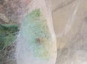 Silkworms Have Connections Bible