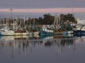 Escape Winter: Budget-Friendly Ocean Fishing Puerto Penasco