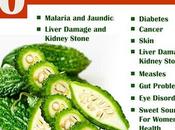 Health Benefits Bitter Melon (Bitter Gourd)-Bitter Capsules Planet Ayurveda