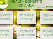 Health Benefits Amla-Amla Capsules Planet Ayurveda