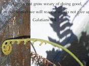 Contend Faith Part Putting Together