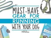 Must-Have Gear Running With Your