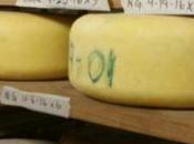 Artisan Cheese Festival Needs Your LIST!