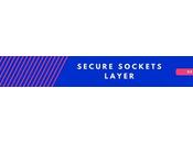 Does Your Website Have Secure Sockets Layer Installed?