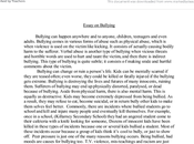 Cyber-Bullying Essay