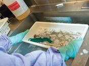 Autonomy Essay Odeon Waterford