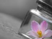 Jack Box?” Personally Think Outside “Box”