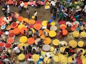 POEM: Until Flower Floor