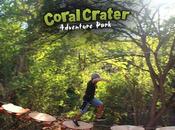 Reason Visit Coral Crater Adventure Park Offbeat Hawaii
