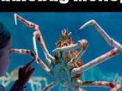 When Don’t Want Hear About Someone’s Diet