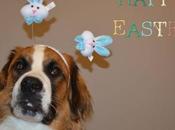 #Easter #Pets #PawsForReaction Easter Stories