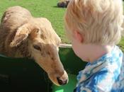 Trying Something National Experience PLUS Your Chance £1000 Experiences!