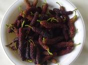 Mulberry Benefits Side Effects Must Know