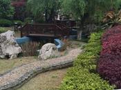 Shanghai Amalgamation Traditional Modern China