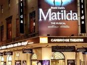 About|| Matilda Musical