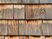 Cedar Vinyl Siding