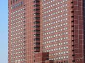 Your Visit Japan’s Busy Capital Tokyo!!