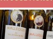 Could Have Been Ribera Duero with Jose Moro.....