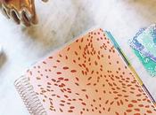 Erin Condren 2018 Lifeplanner Review