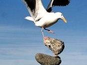 Human Ecological Predicament: Wages Self-Delusion MAHB