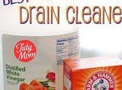 Frugal Tip: Safer, Cheaper Drain Cleaner