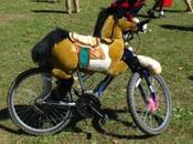 Strange Unusual Accessories Bicycles