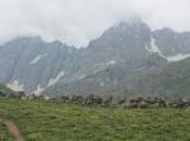 POEM: Journeys Have Routes; Mapped