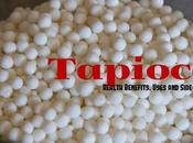 Tapioca Health Benefits, Uses Side Effects
