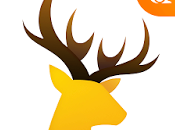 News News, Cricket, Video