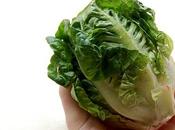 Fitness Freak Fresh Organic Salad Seeds Your Garden