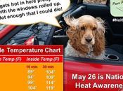 #NoHotDogs #Car #Temperature #HeatAdvisory #Dogs #NationalHeatAwarenessDay #May26