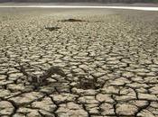 What Happens Exits Paris Climate Accord?