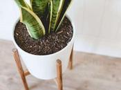 Century Modern Plant Stand Indoor Outdoor