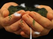 What Environmental Justice: Principles, Importance Examples