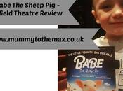 Babe Sheep Nuffield Theatre Review