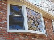 Talk: Characteristics Certified Window Contractor