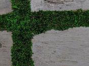 Guide Five Popular Landscape Paving Materials