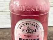 Fentimans Ready Mixed Drinks World