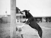 Mental Yoga Sunday Favorite Long Form Reads Week Issue