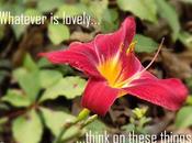 More Good Things About Having Disability