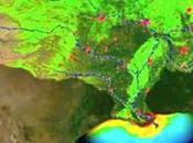 This Summer’s Gulf ‘Dead Zone’ Could Bigger Than Connecticut