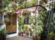 Gorgeous Gravel Patio Ideas