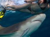 Things More Likely Kill Than Shark4 Read