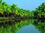 Places Visit City Kerala Known God’s Country