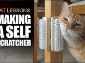 [Video] –How Make Self-Scratcher Cats