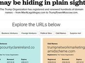 Politico Takes Look Trump Domain Portfolio