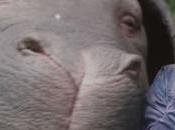 Brief Thoughts Okja Nobody Speak Site Update