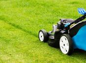 Select Perfect Mower Your Backyard